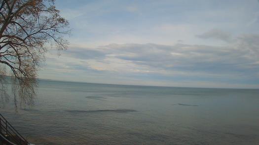 Weather camera view of Forest Lawn Beach.