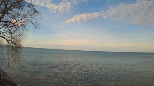 Weather camera view of Forest Lawn Beach.