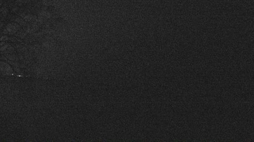 Weather camera view of Forest Lawn Beach.