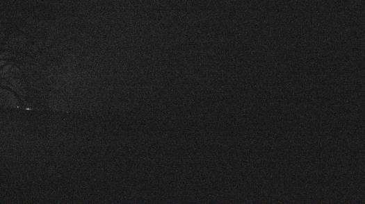 Weather camera view of Forest Lawn Beach.