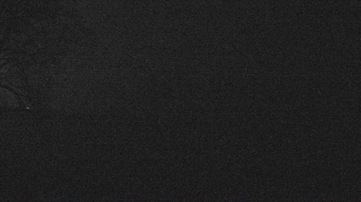 Weather camera view of Forest Lawn Beach.