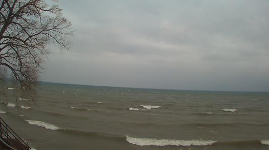 Weather camera view of Forest Lawn Beach.