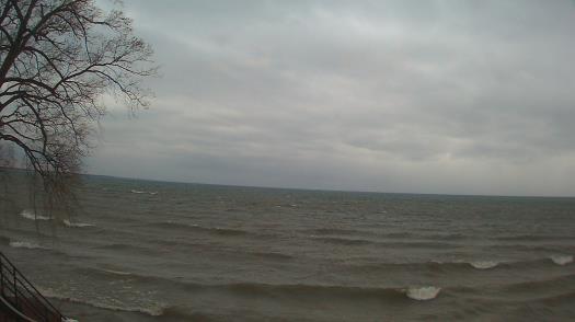 Weather camera view of Forest Lawn Beach.