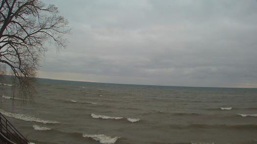 Weather camera view of Forest Lawn Beach.