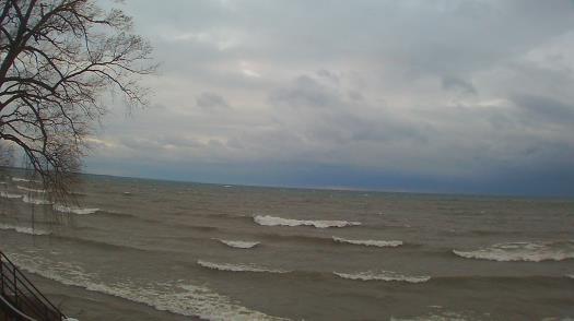 Weather camera view of Forest Lawn Beach.