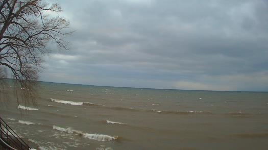 Weather camera view of Forest Lawn Beach.