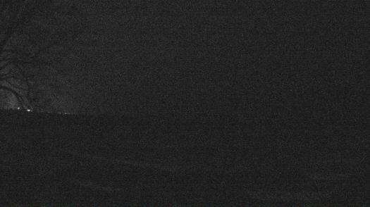 Weather camera view of Forest Lawn Beach.