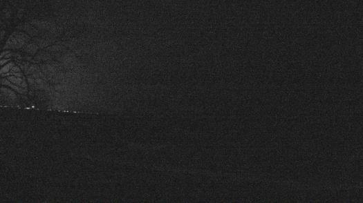 Weather camera view of Forest Lawn Beach.