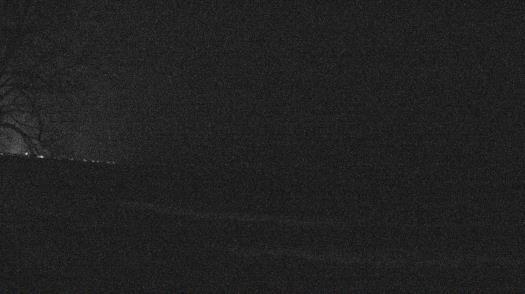 Weather camera view of Forest Lawn Beach.