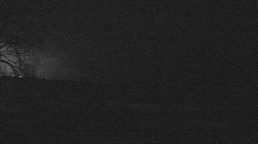 Weather camera view of Forest Lawn Beach.