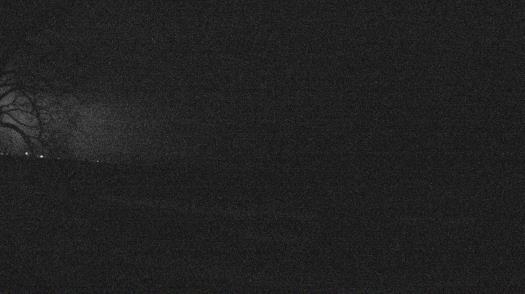 Weather camera view of Forest Lawn Beach.