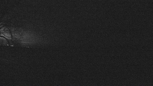 Weather camera view of Forest Lawn Beach.