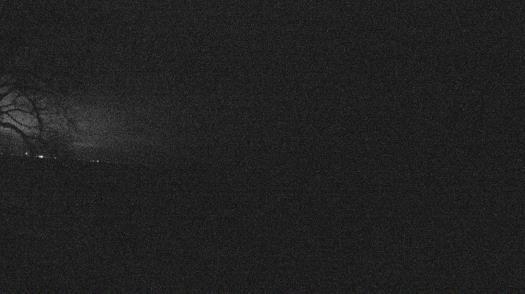 Weather camera view of Forest Lawn Beach.