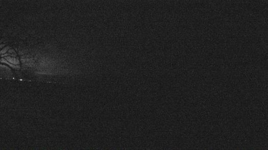 Weather camera view of Forest Lawn Beach.