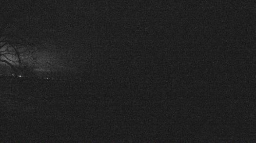 Weather camera view of Forest Lawn Beach.