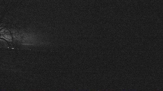 Weather camera view of Forest Lawn Beach.