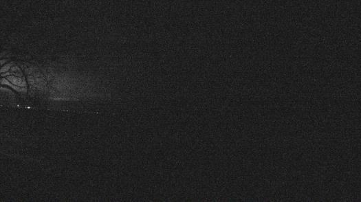 Weather camera view of Forest Lawn Beach.