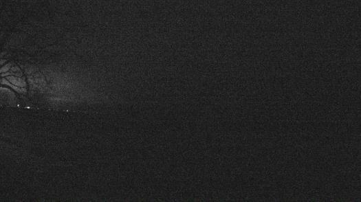 Weather camera view of Forest Lawn Beach.