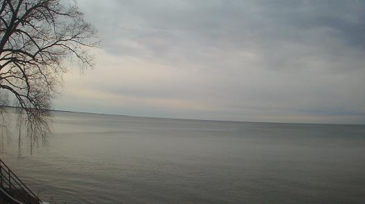 Weather camera view of Forest Lawn Beach.