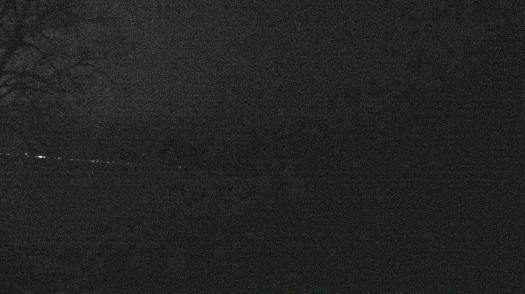 Weather camera view of Forest Lawn Beach.