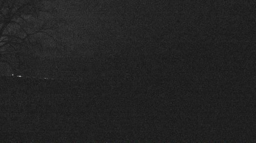 Weather camera view of Forest Lawn Beach.