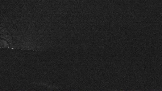 Weather camera view of Forest Lawn Beach.