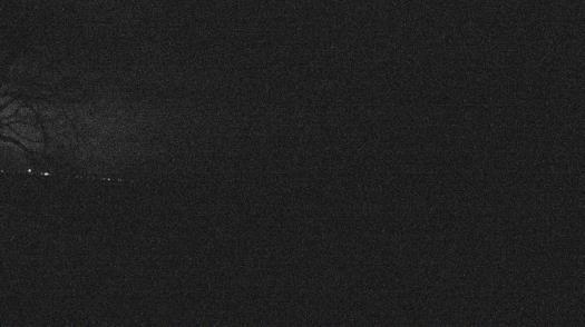 Weather camera view of Forest Lawn Beach.