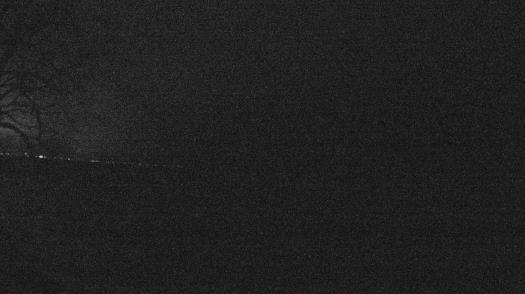 Weather camera view of Forest Lawn Beach.