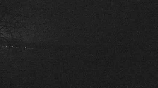 Weather camera view of Forest Lawn Beach.