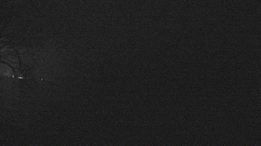 Weather camera view of Forest Lawn Beach.