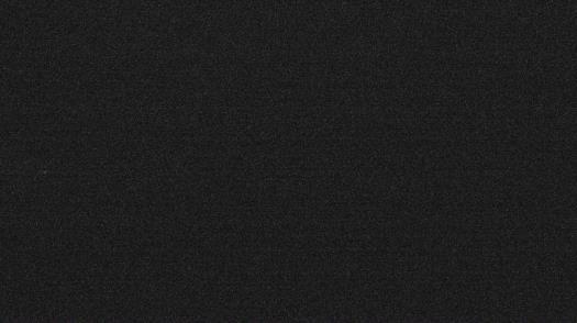 Weather camera view of Forest Lawn Beach.