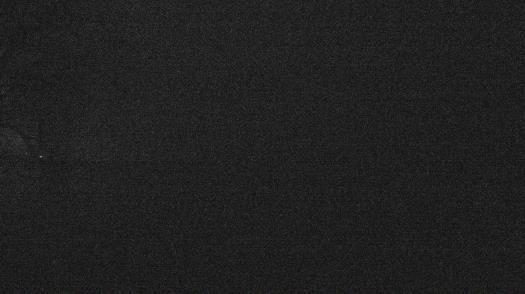 Weather camera view of Forest Lawn Beach.