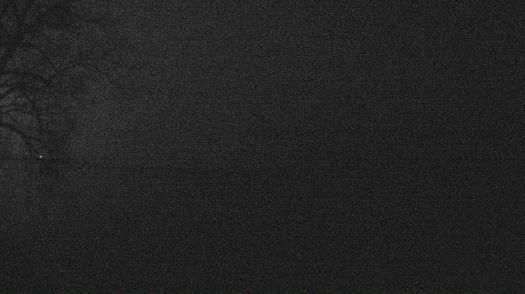 Weather camera view of Forest Lawn Beach.