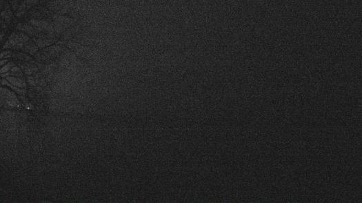 Weather camera view of Forest Lawn Beach.