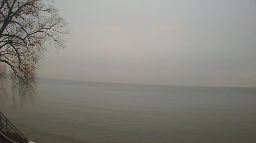 Weather camera view of Forest Lawn Beach.