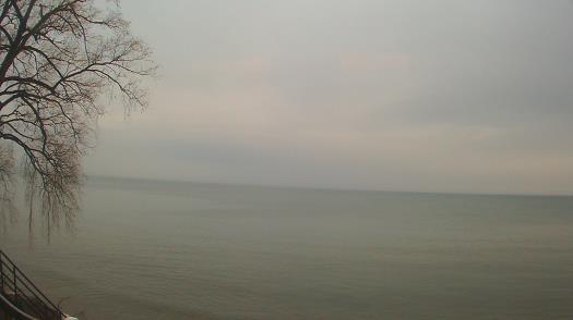 Weather camera view of Forest Lawn Beach.