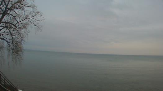 Weather camera view of Forest Lawn Beach.