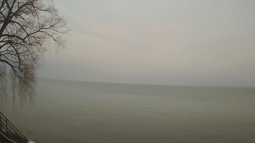 Weather camera view of Forest Lawn Beach.