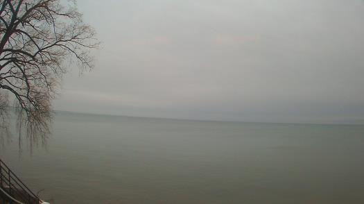 Weather camera view of Forest Lawn Beach.