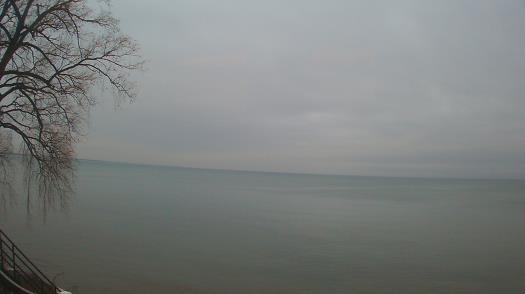 Weather camera view of Forest Lawn Beach.