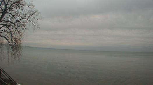 Weather camera view of Forest Lawn Beach.