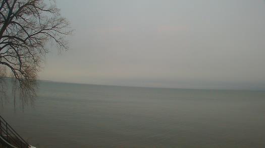 Weather camera view of Forest Lawn Beach.