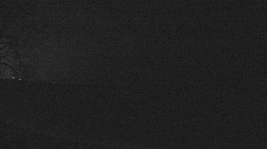 Weather camera view of Forest Lawn Beach.