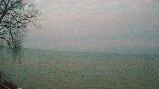 Weather camera view of Forest Lawn Beach.