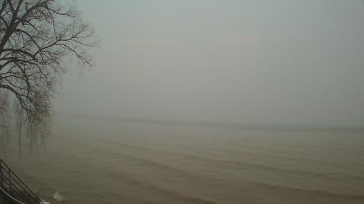 Weather camera view of Forest Lawn Beach.