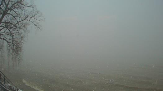 Weather camera view of Forest Lawn Beach.