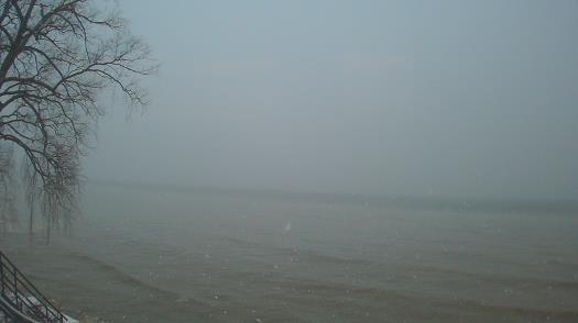 Weather camera view of Forest Lawn Beach.