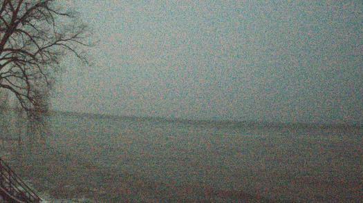 Weather camera view of Forest Lawn Beach.