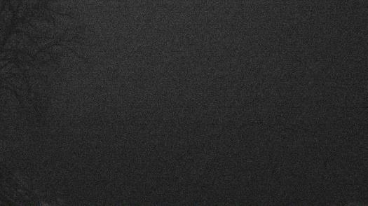 Weather camera view of Forest Lawn Beach.