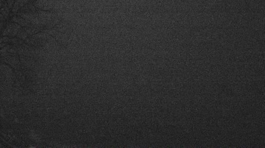 Weather camera view of Forest Lawn Beach.